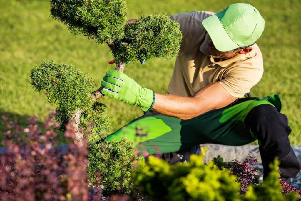 Local SEO services for landscapers in the San Gabriel Valley